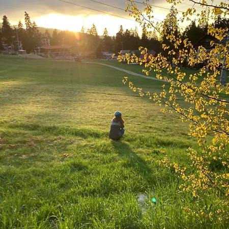 Gardens C-43 Apartament